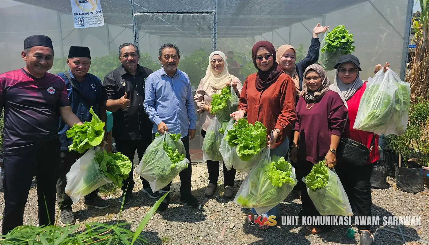 SejaTi MADANI Hydroponic Project Spurs Rural Growth in Simunjan