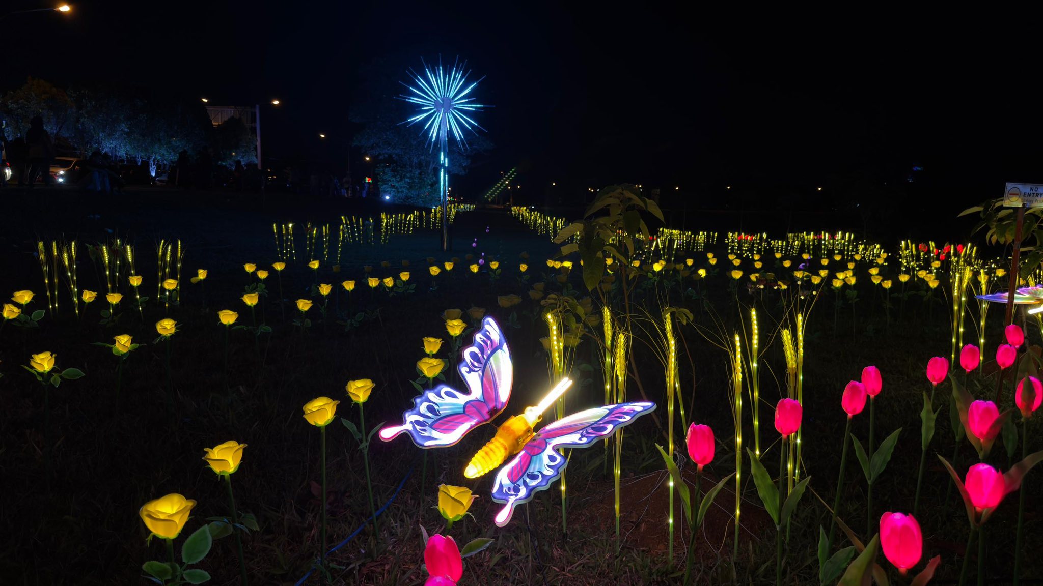 Pustaka Negeri Sarawak Transforms into a Dazzling Garden of Lights for Heritage Festival 2025 1 Pustaka Negeri Sarawak Transforms into a Dazzling Garden of Lights for Heritage Festival 2025