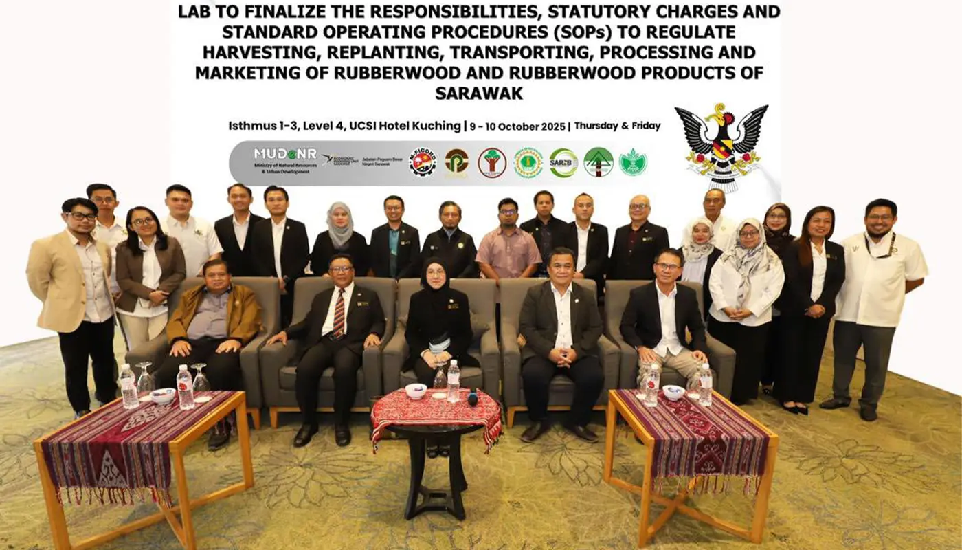 Sarawak Advances Rubberwood Regulations to Boost Downstream Value