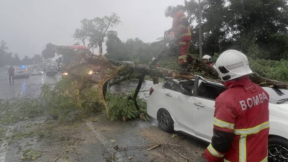 Driver Injured After Tree Falls on Car Along Jalan Sultan Tengah