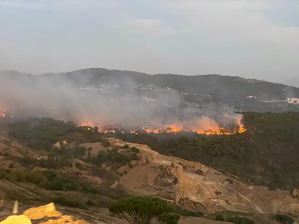 Sidon, Sidon News, Lebanon, Lebanon News, Bekaa, Bekaa News