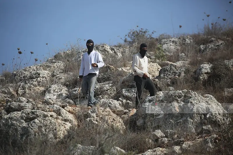 Settlers Assault Olive Pickers Near Jerusalem Amid Harvest Season 3 Jerusalem, Jerusalem News, Palestine, Palestine News, Israel, Israel News, West Bank, West Bank News