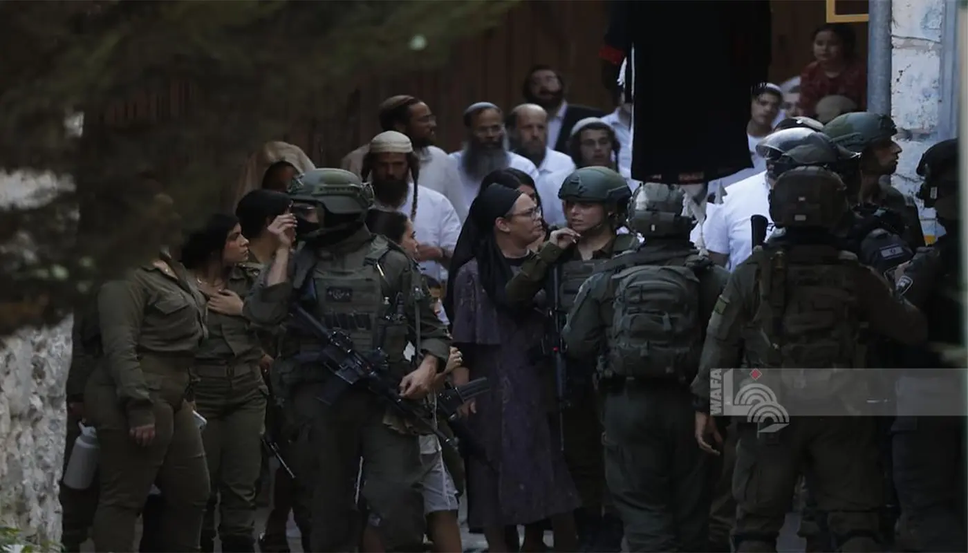 Settlers Assault Olive Pickers Near Jerusalem Amid Harvest Season 1 Palestine, Palestine News, Israel, Israel News, West Bank, West Bank News