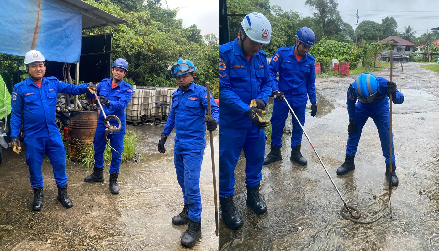 Sarawak, Sarawak News, Limbang, Limbang News, APM, Snake Capture, Public Safety, Wildlife, Emergency Response