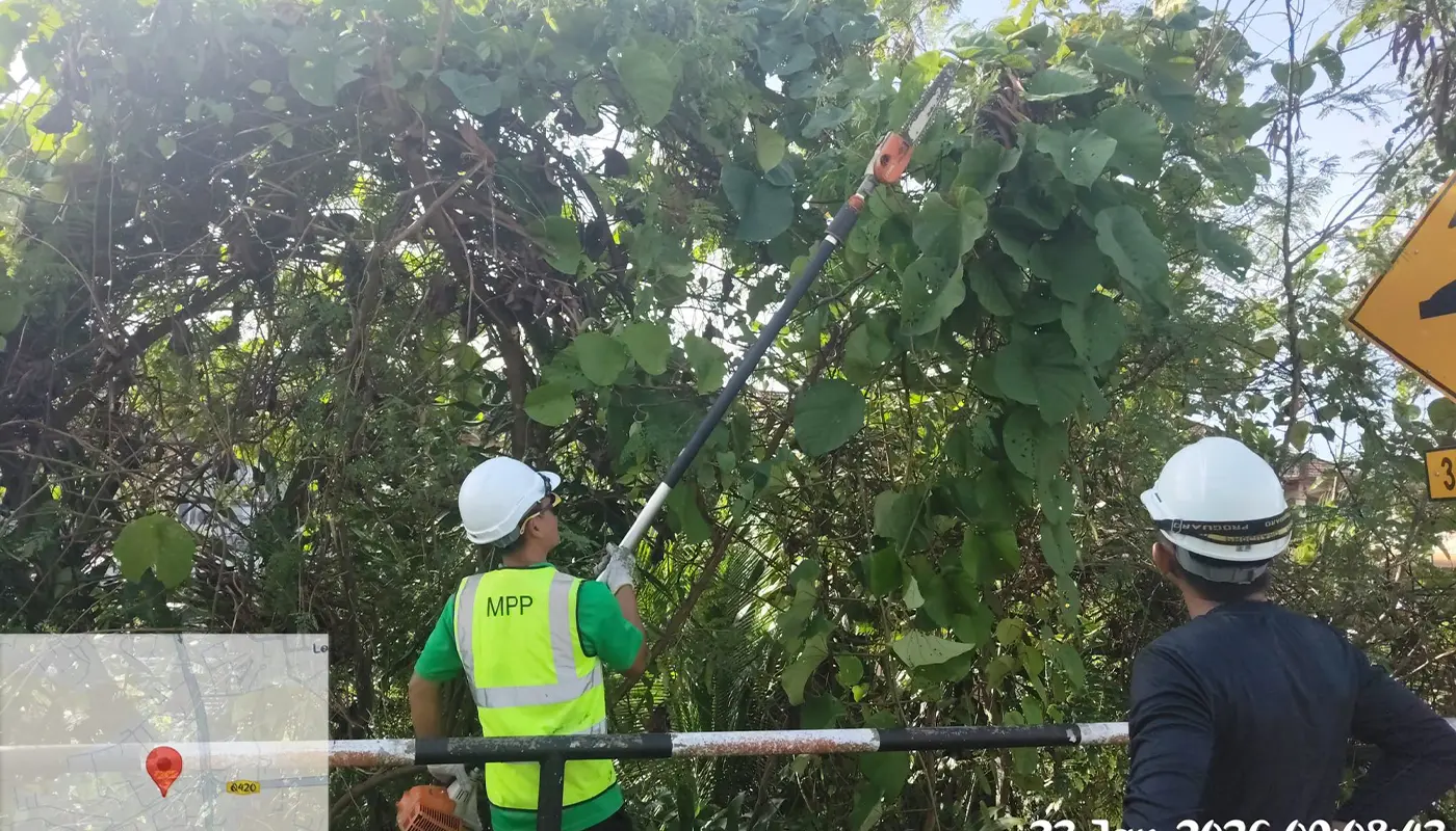MPP Clears Roadside Bushes in Taman Kwong Tiong for Safety 1 Sarawak, Sarawak News, Kuching, Kuching News, Padawan, Padawan Municipal Council, Public Safety, Roadside Maintenance, Taman Kwong Tiong