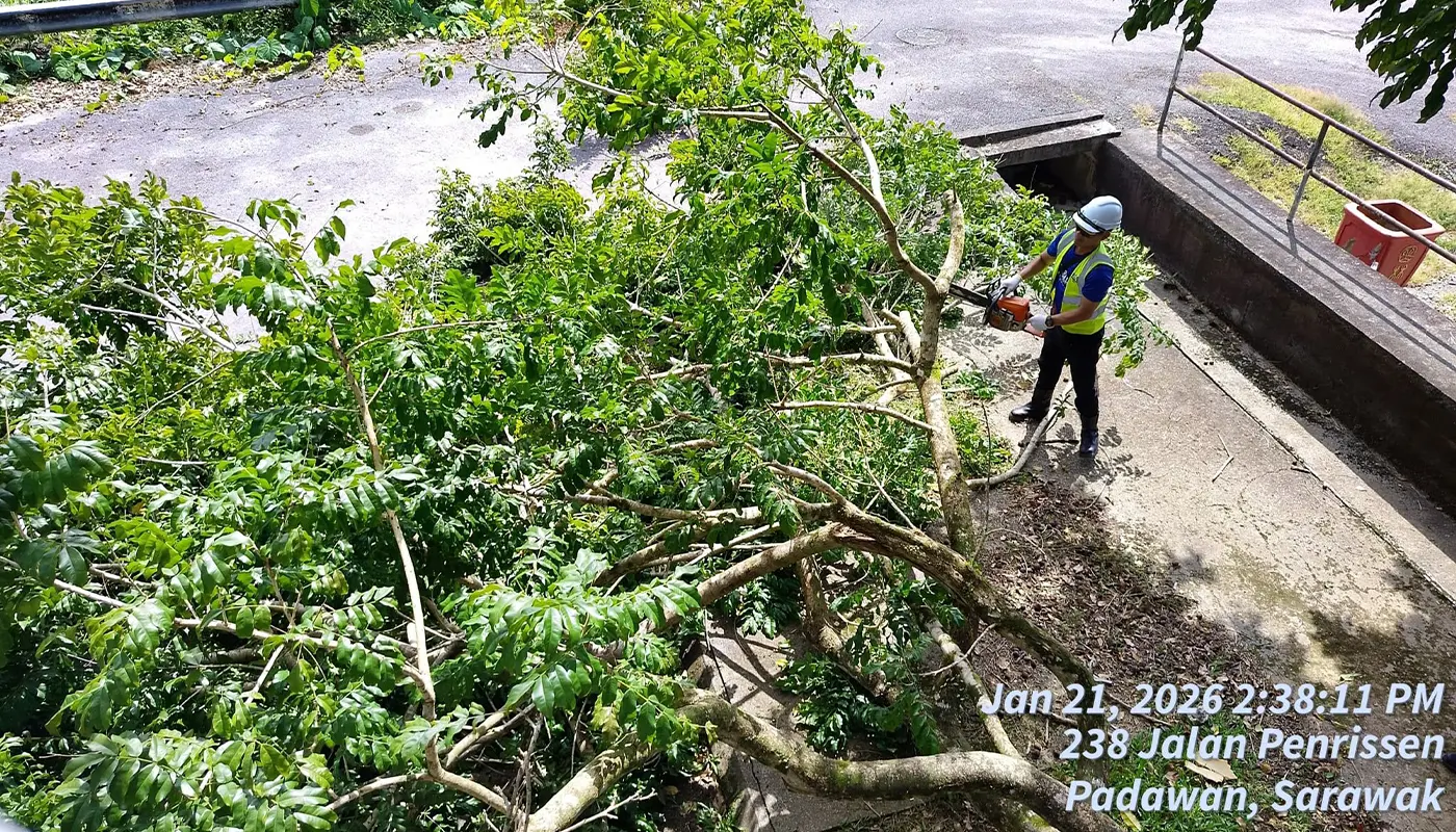 Sarawak, Sarawak News, Padawan, Padawan News, MPP, Tree Maintenance, Public Safety, Environmental Care, Community Engagement