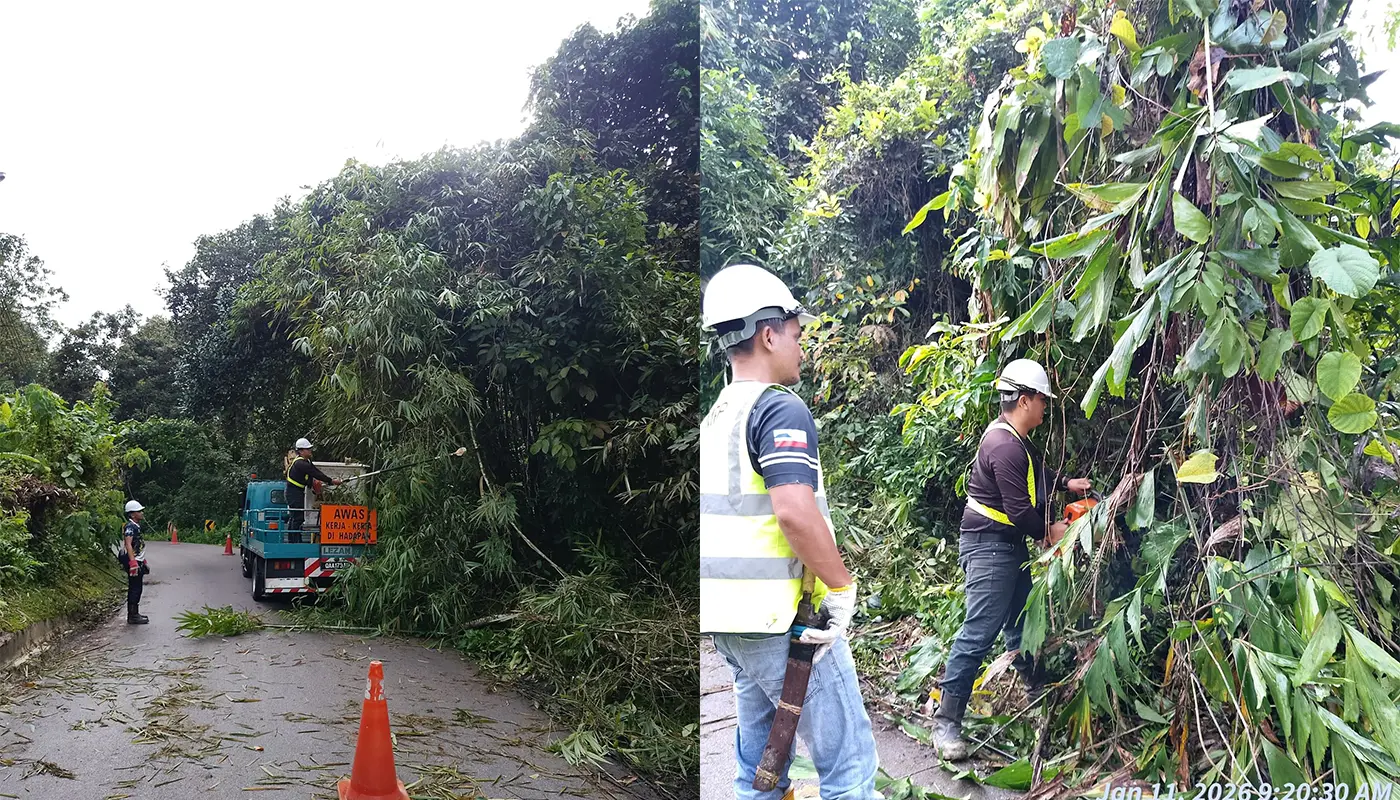 Sarawak, Sarawak News, Padawan, Padawan News, Tree Maintenance, Public Safety, Environmental Care, Urban Landscaping, Sarawak Development