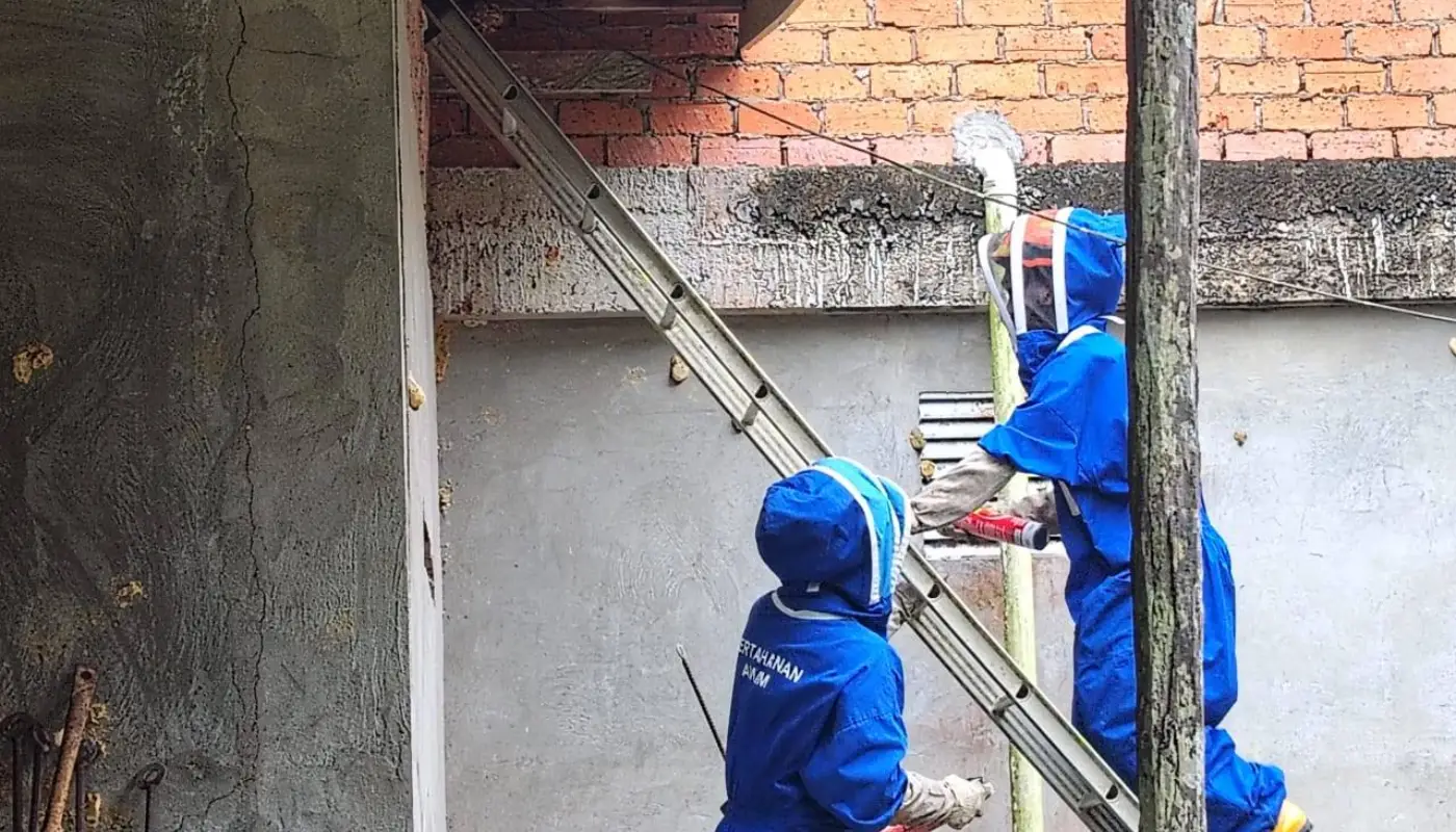 Sarawak, Sarawak News, Spaoh, Spaoh News, Wasp Nest, APM Spaoh, Bukit Embawang