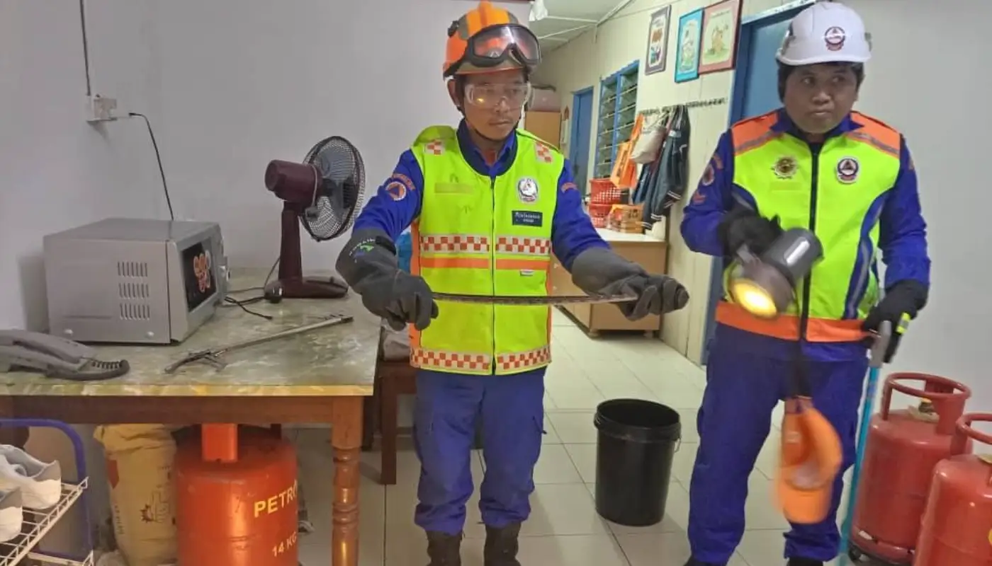 Baby Python Safely Captured Inside Home at Jalan Bertuah, Sibu 1 Sarawak, Sarawak News, Sibu, Sibu News, Snake Capture, APM Sibu,