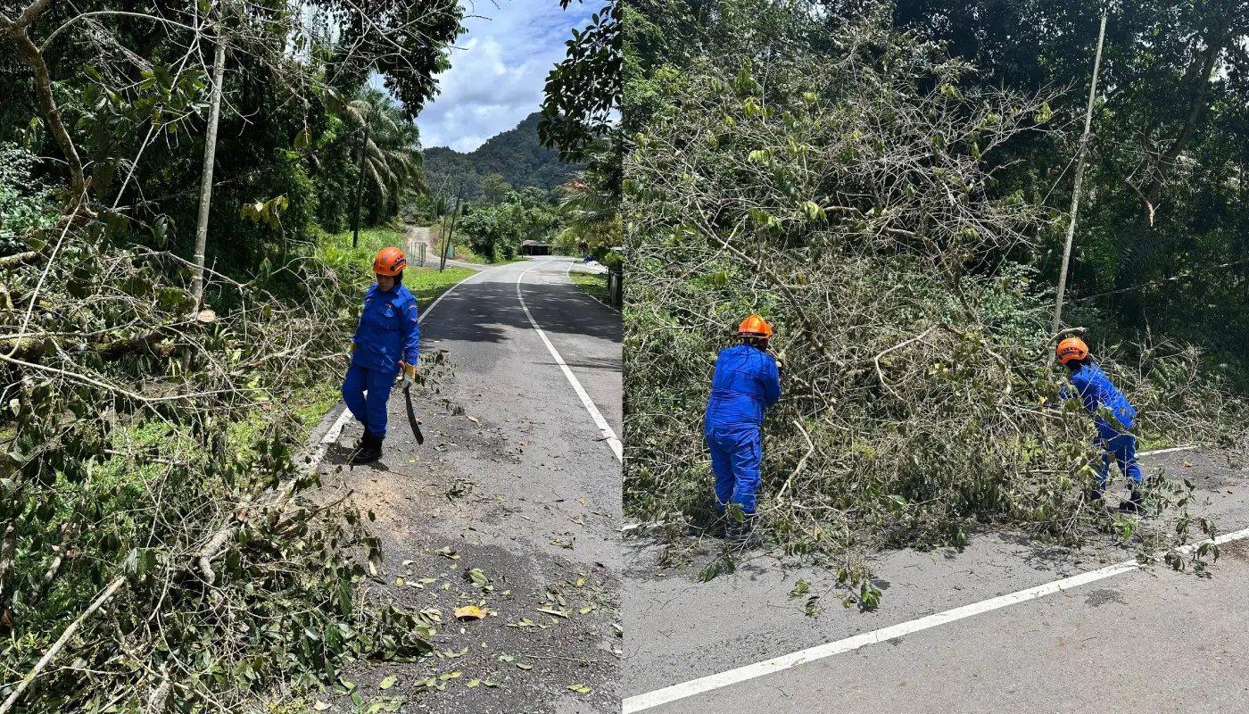 Falling Tree Incident Reported in Kampung Merembeh, Bau 1 Sarawak, Sarawak News, Bau, Bau News, APM, APM Bau, APM Sarawak, Kuching, Kuching News