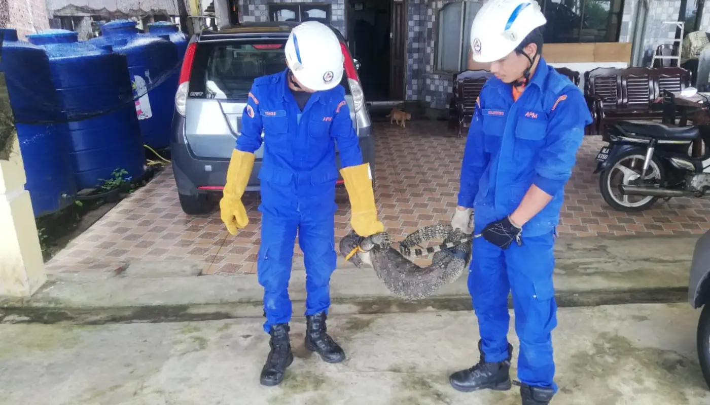 Sarawak, Sarawak News, Lawas, Lawas News, APM, APM Lawas, APM Sarawak