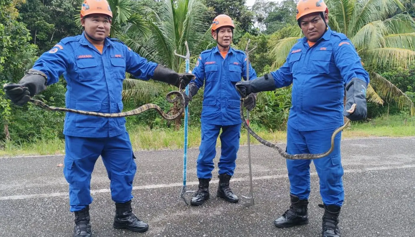 Sarawak, Sarawak News, Julau, Julau News, Public Safety,