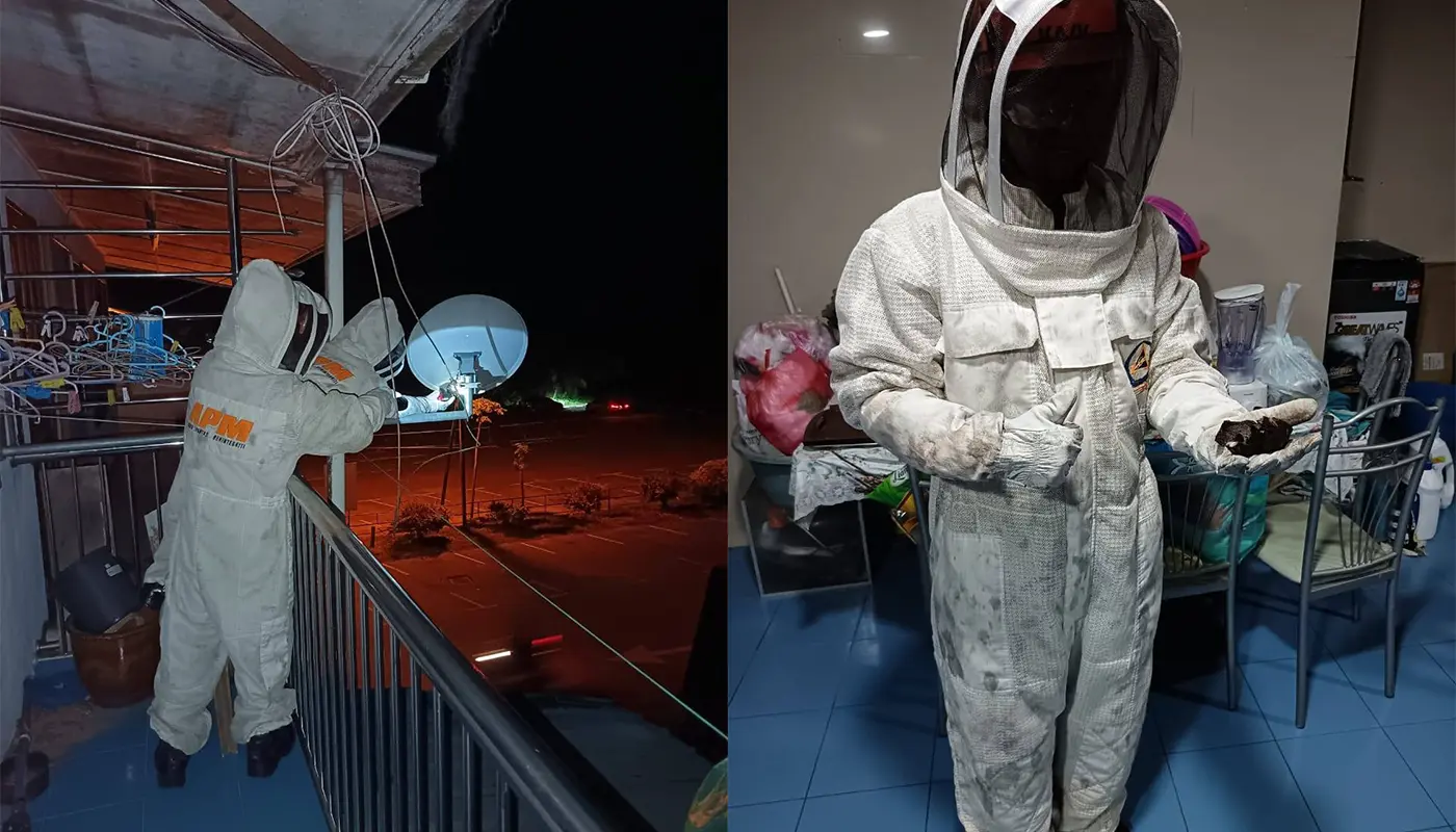 Sarawak, Sarawak News, Julau, Julau News, APM Julau, Wasp Nest, Emergency Response