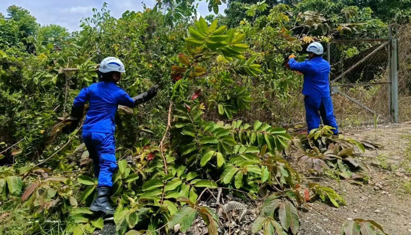 Sarawak, Sarawak News, Kanowit, Kanowit News, public safety, fallen tree, APM Kanowit