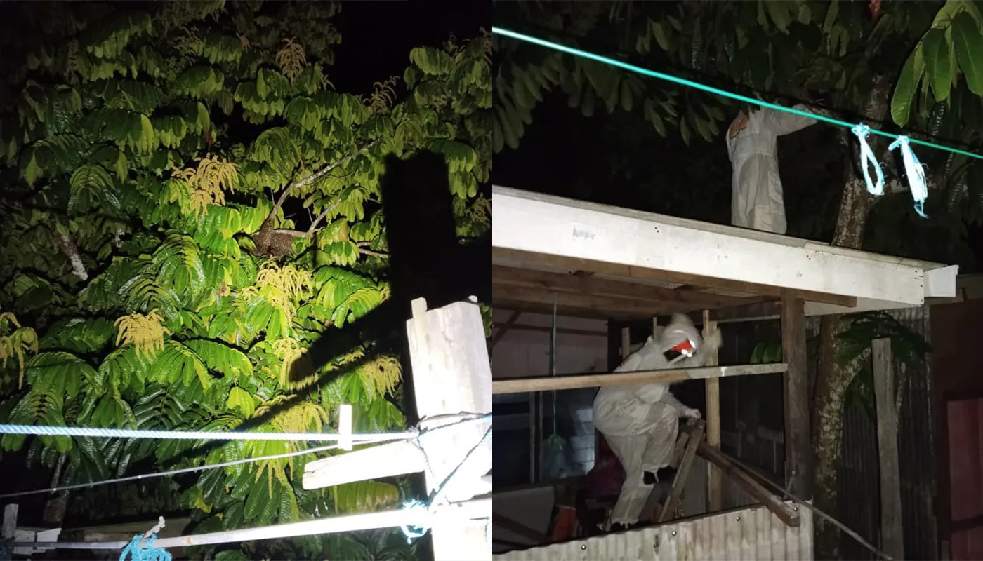 Sarawak, Sarawak News, Matu, Matu News, Public Safety