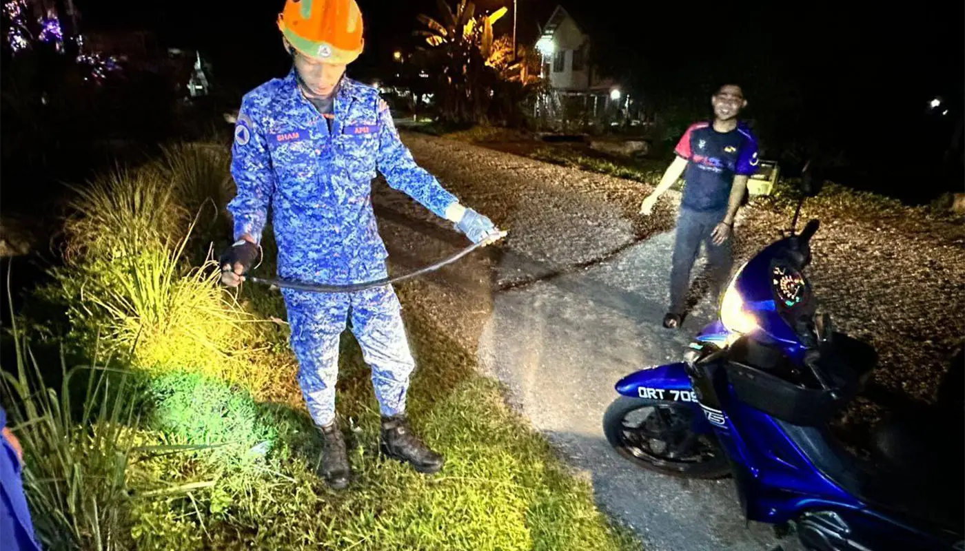 Sarawak, Sarawak News, Tanjung Manis, Tanjung Manis News, Snake Capture, Public Safety