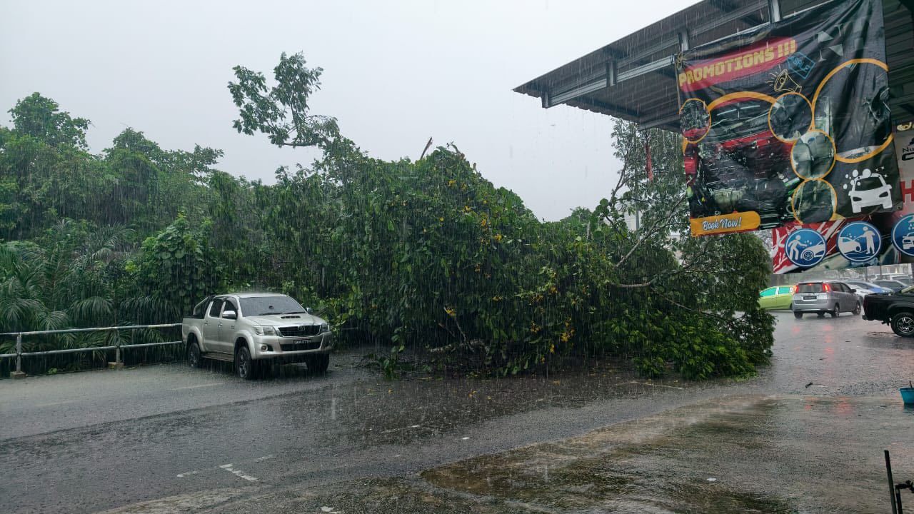 MPP LA Serve Assists APM in Clearing Fallen Trees