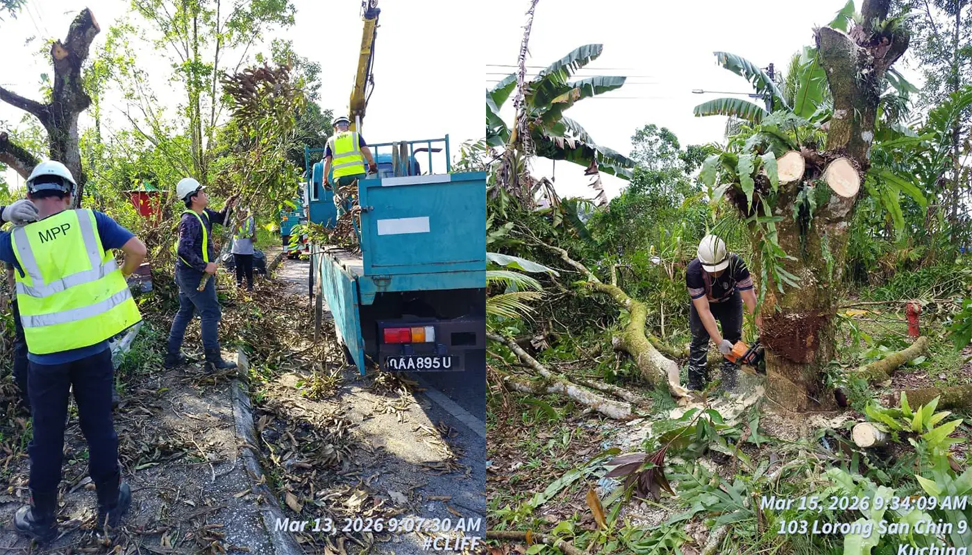 Padawan Municipal Council Conducts Routine Tree Maintenance 1 Sarawak, Sarawak News, Padawan, Padawan News, Tree Maintenance
