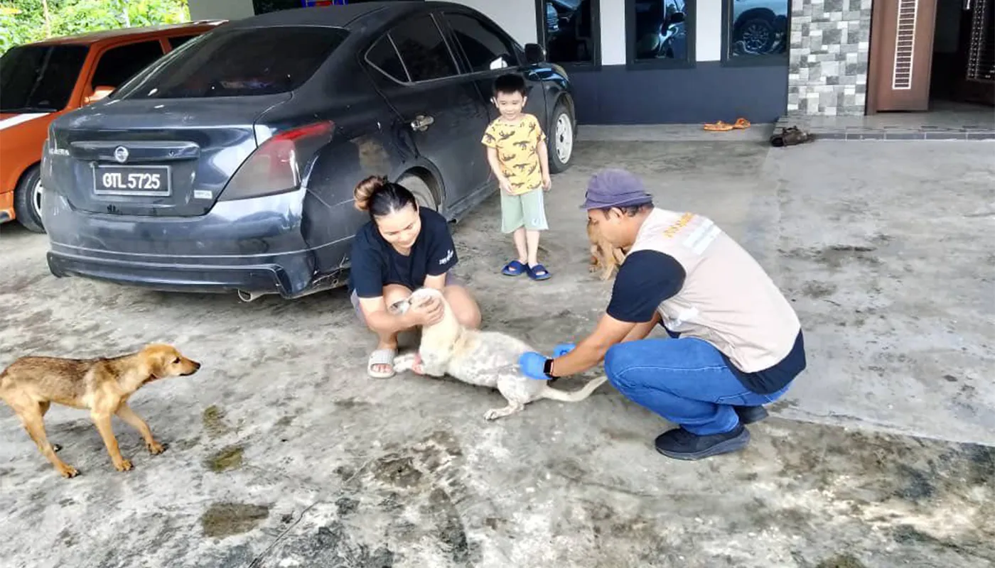Sarawak, Sarawak News, Siburan, Siburan News, Rabies Prevention, Public Health, Animal Welfare