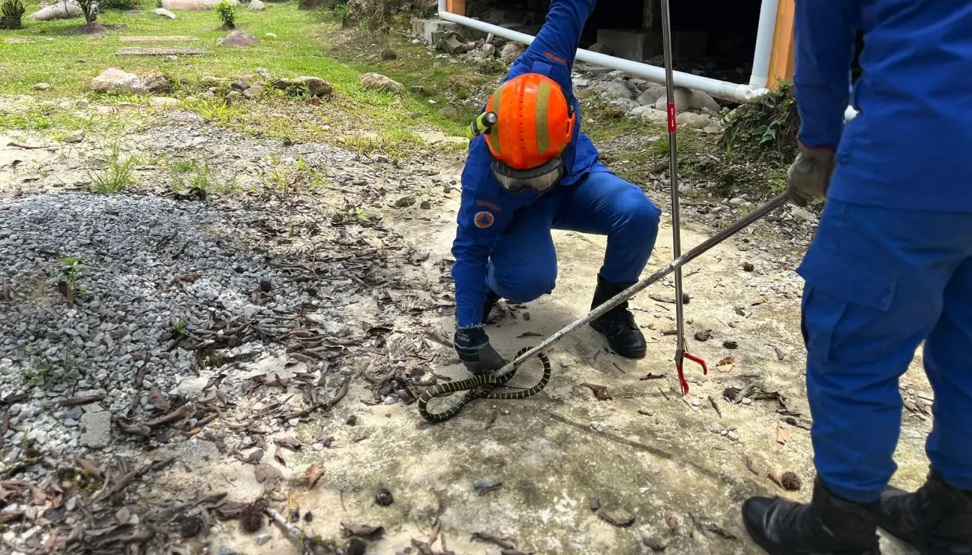 Sarawak, Sarawak News, Bau, Bau News, Emergency Response,