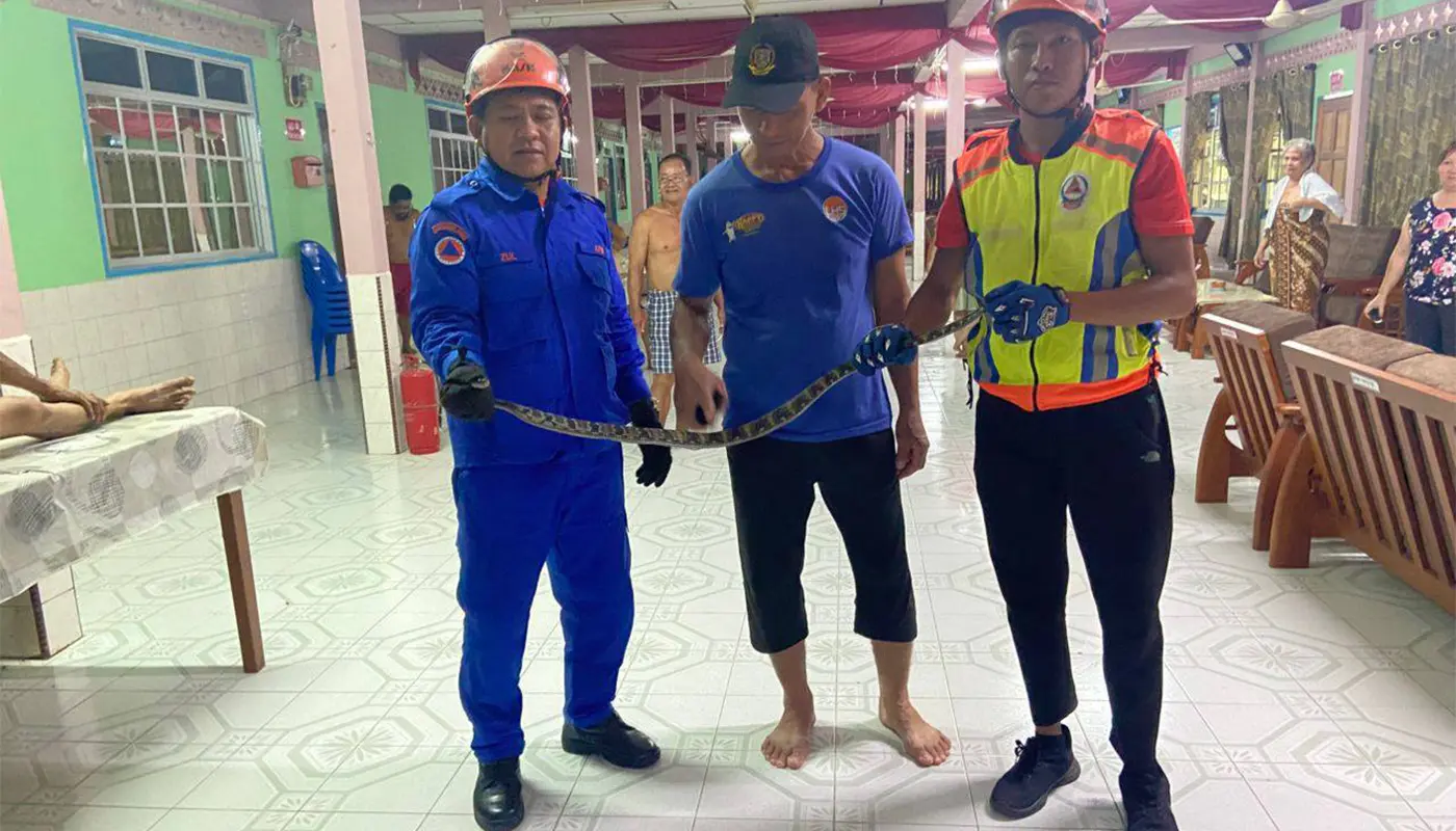 A Four-Foot Snake Captured Safely in Saratok Residence by APM 1 Sarawak, Sarawak News, Saratok, Saratok News, Wildlife Capture, Snake Rescue, Public Safety, APM, Emergency Response, Malaysia News