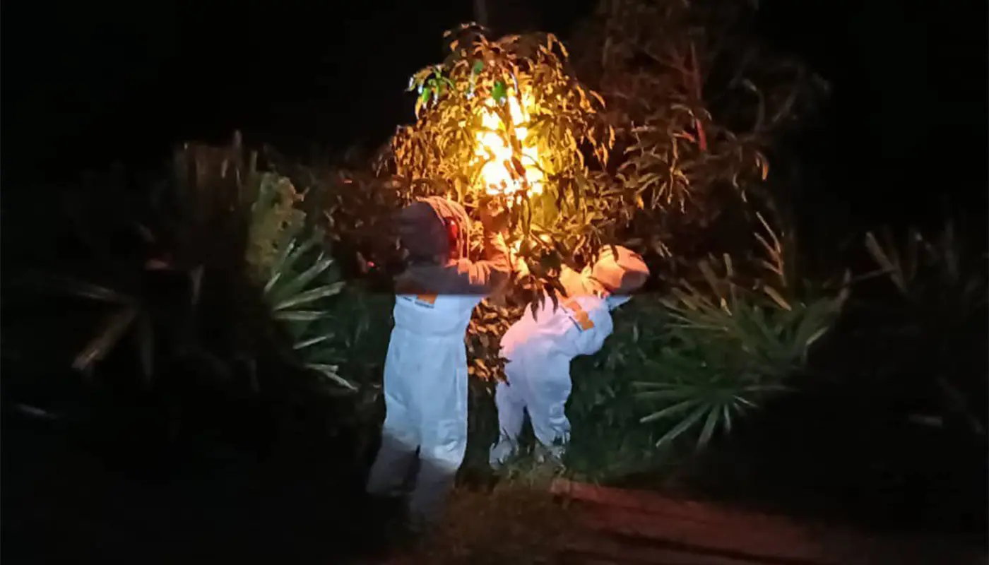 APM Matu Destroys Wasp Nests Threatening Safety in Tian Village 1 Sarawak, Sarawak News, Matu, Matu News, Public Safety, Wasp Nest, APM, Emergency Response,