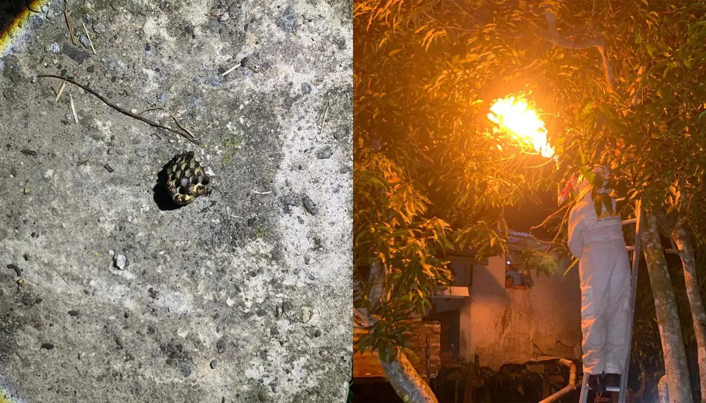 APM Matu Neutralises Stinger Nest in Kampung Bawang Matu Residence 1 Sarawak, Sarawak News, Matu, Matu News, APM, Emergency Response, Kampung Bawang Matu, Stinger Nest Removal