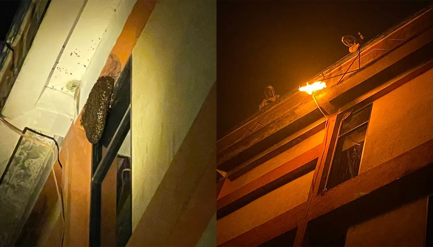 Sarawak, Sarawak News, Matu, Matu News, APM Matu, Emergency Response, Public Safety, Wasp Nest, Wisma Persekutuan