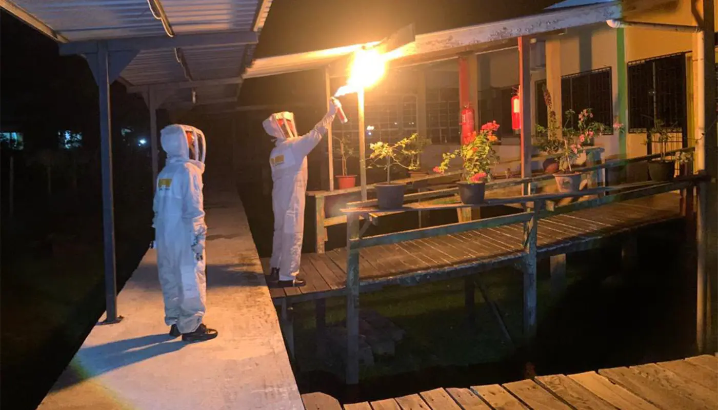 APM Matu Team Safely Removes Black Stinger Nest at Local School 1 Sarawak, Sarawak News, Matu, Matu News, APM, SK Orang Kaya Segunim, School Safety
