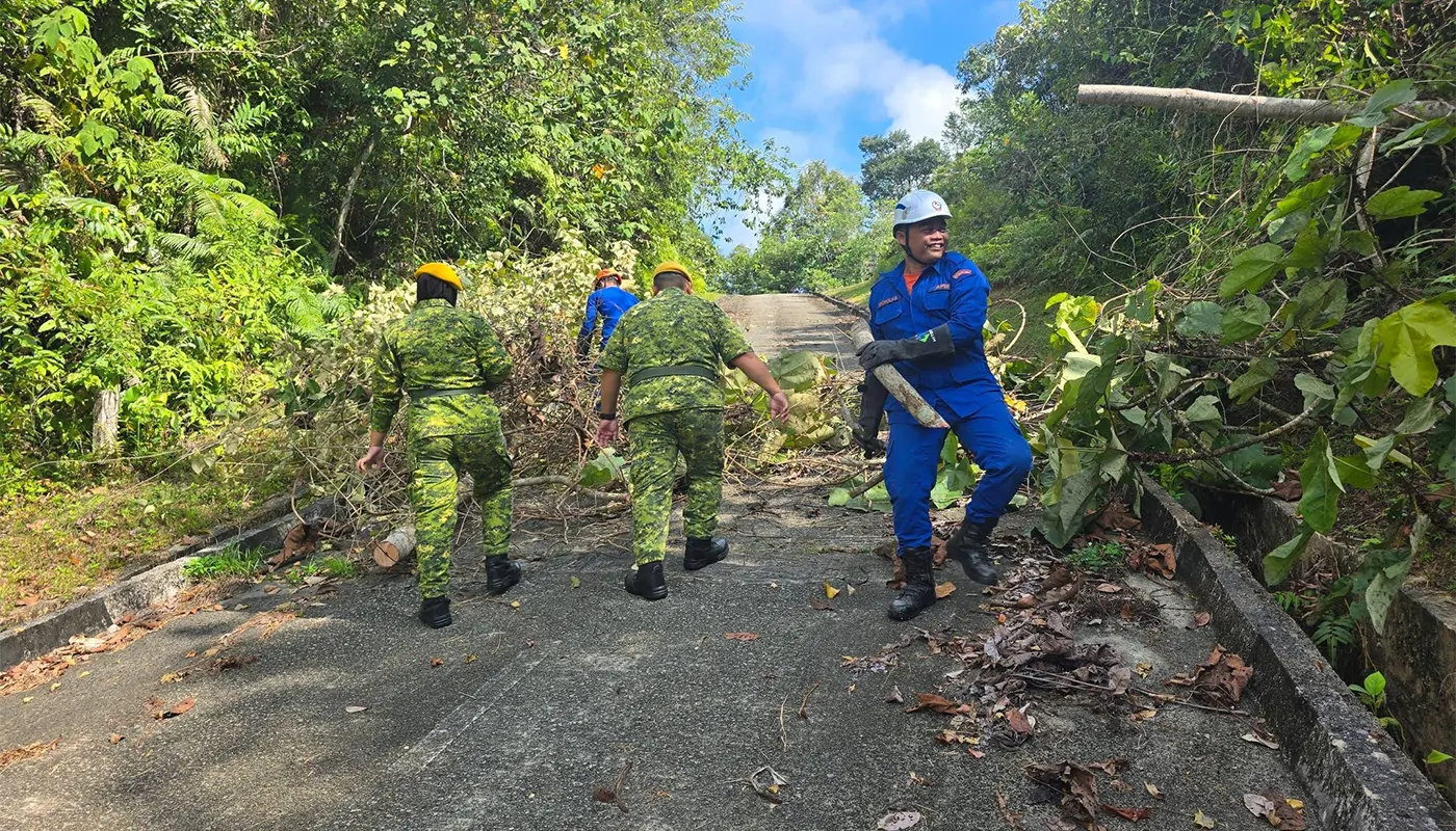 APM Pakan Clears Fallen Tree Blocking Traffic Route 1 Sarawak, Sarawak News, Pakan, Pakan News, APM, Fallen Tree, Road Safety, Emergency Response