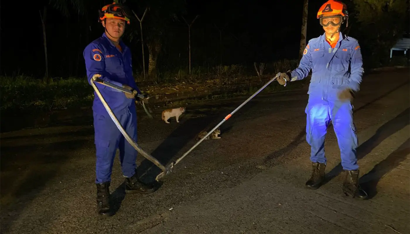 APM Safely Captured Snake in Sematan 1 Sarawak, Sarawak News, Sematan, Sematan News, Emergency Response, Snake Catching, Civil Defence, Public Safety