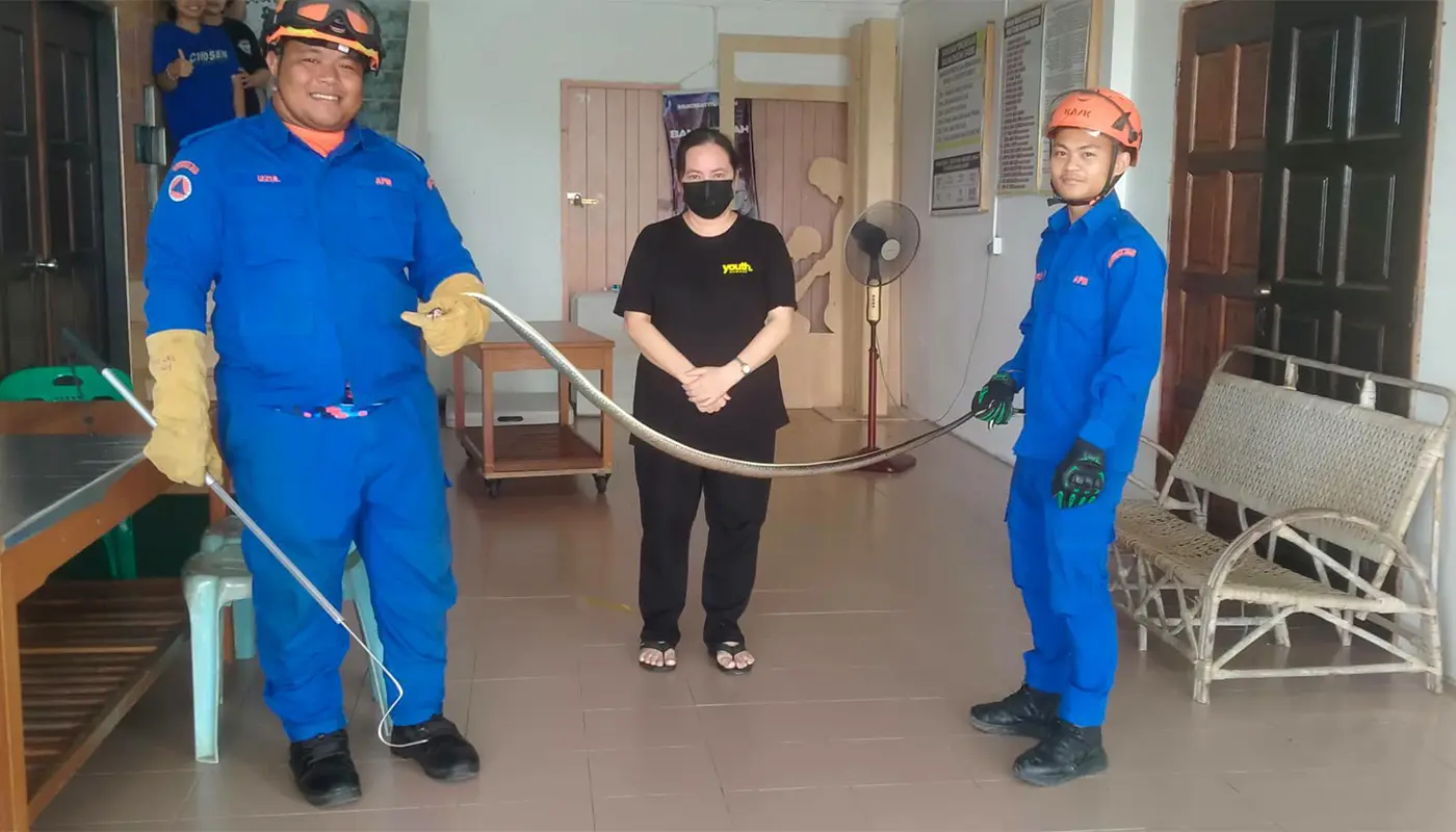 APM Saratok Captures Six-Foot Snake at Saratok Church 1 Sarawak, Sarawak News, Saratok, Saratok News, Civil Defence, Wildlife, Public Safety