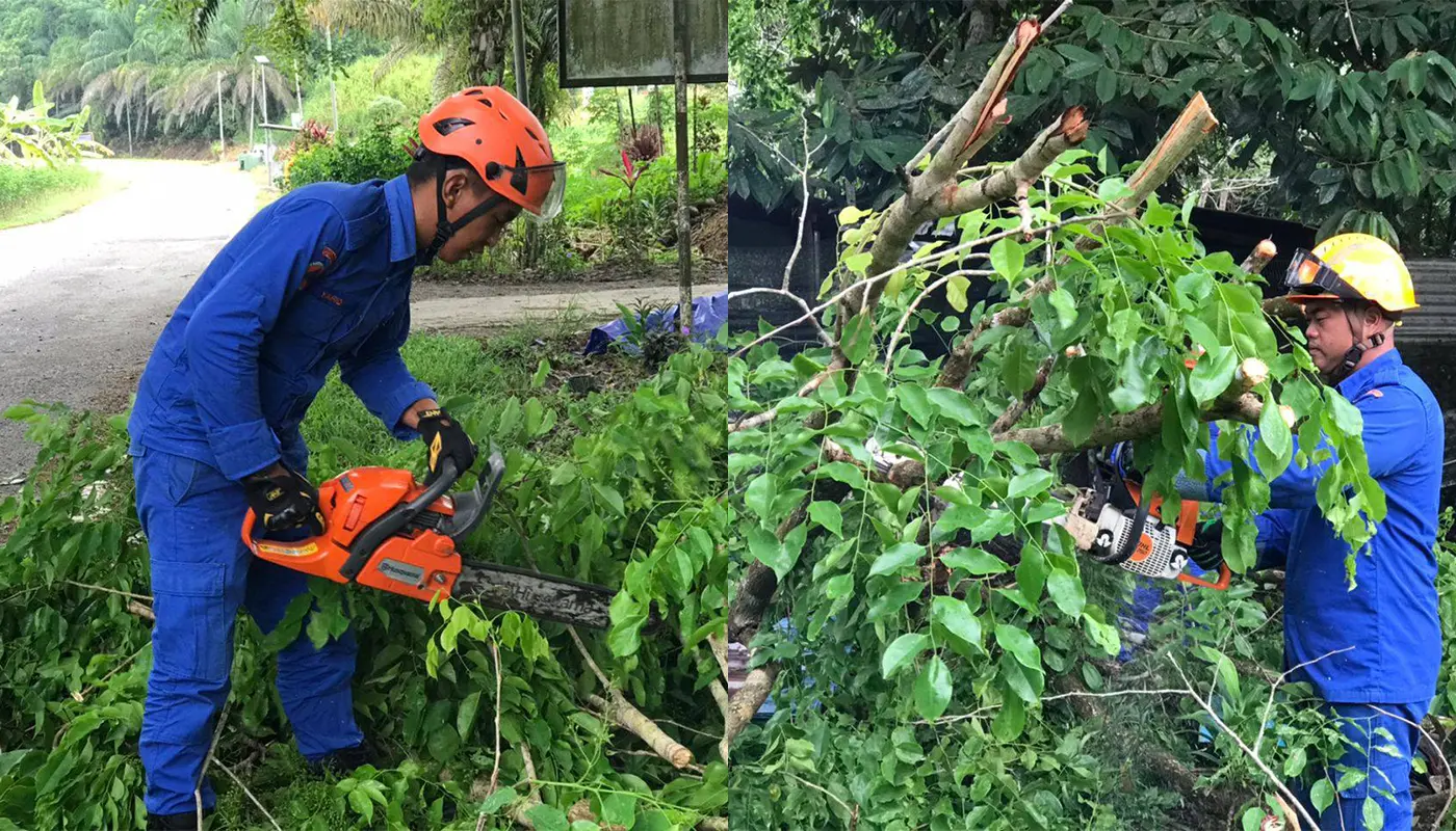 Sarawak, Sarawak News, Saratok, Saratok News, Civil Defence, Emergency Response, Fallen Tree, Public Safety