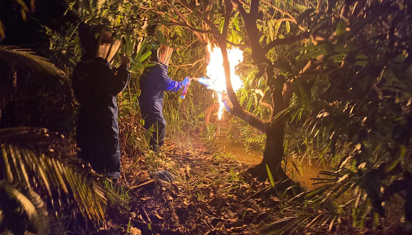 APM Simunjan Safely Destroyed Insect Nest 1 Sarawak, Sarawak News, Simunjan, Simunjan News, Civil Defence, Community Safety, Emergency Response, Public Health