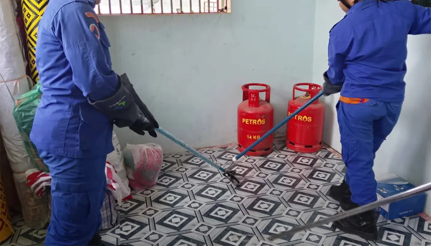 APM Song Successfully Captured Snake in Emergency Response 1 Sarawak, Sarawak News, Song, Song News, Wildlife, Public Safety, Emergency Response, Snake Capture