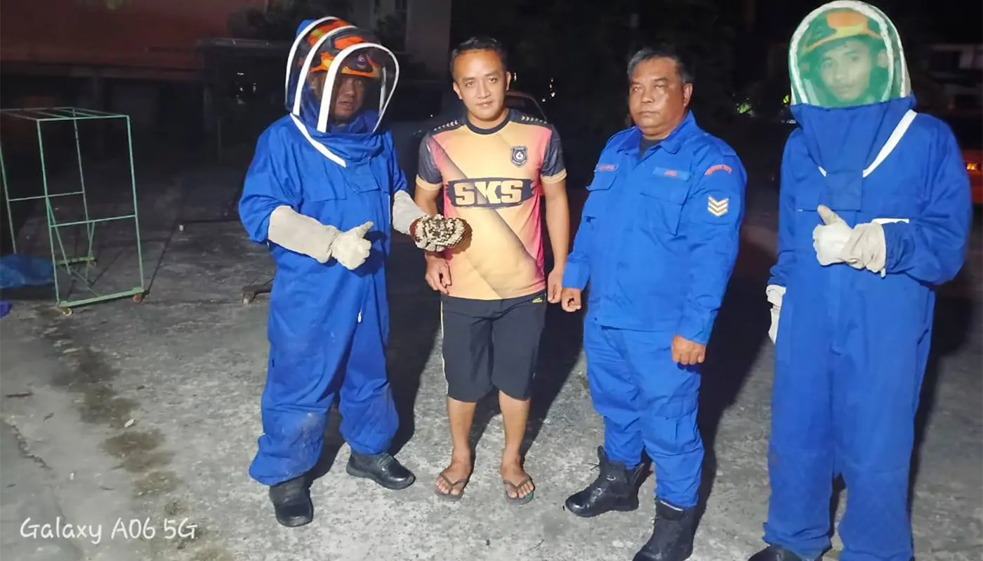 Sarawak, Sarawak News, Spaoh, Spaoh News, Public Safety, Wasp Nest, APM, Emergency Response,