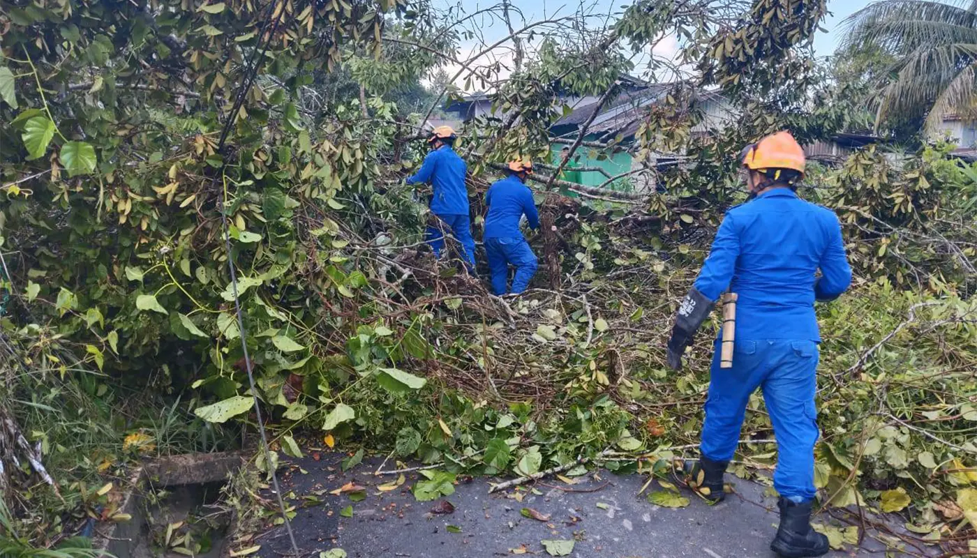 APM Sri Aman Clears Fallen Tree Blocking Road in Kampung Hilir 1 Sarawak, Sarawak News, Sri Aman, Sri Aman News, Kampung Hilir, APM, Road Safety, Fallen Tree