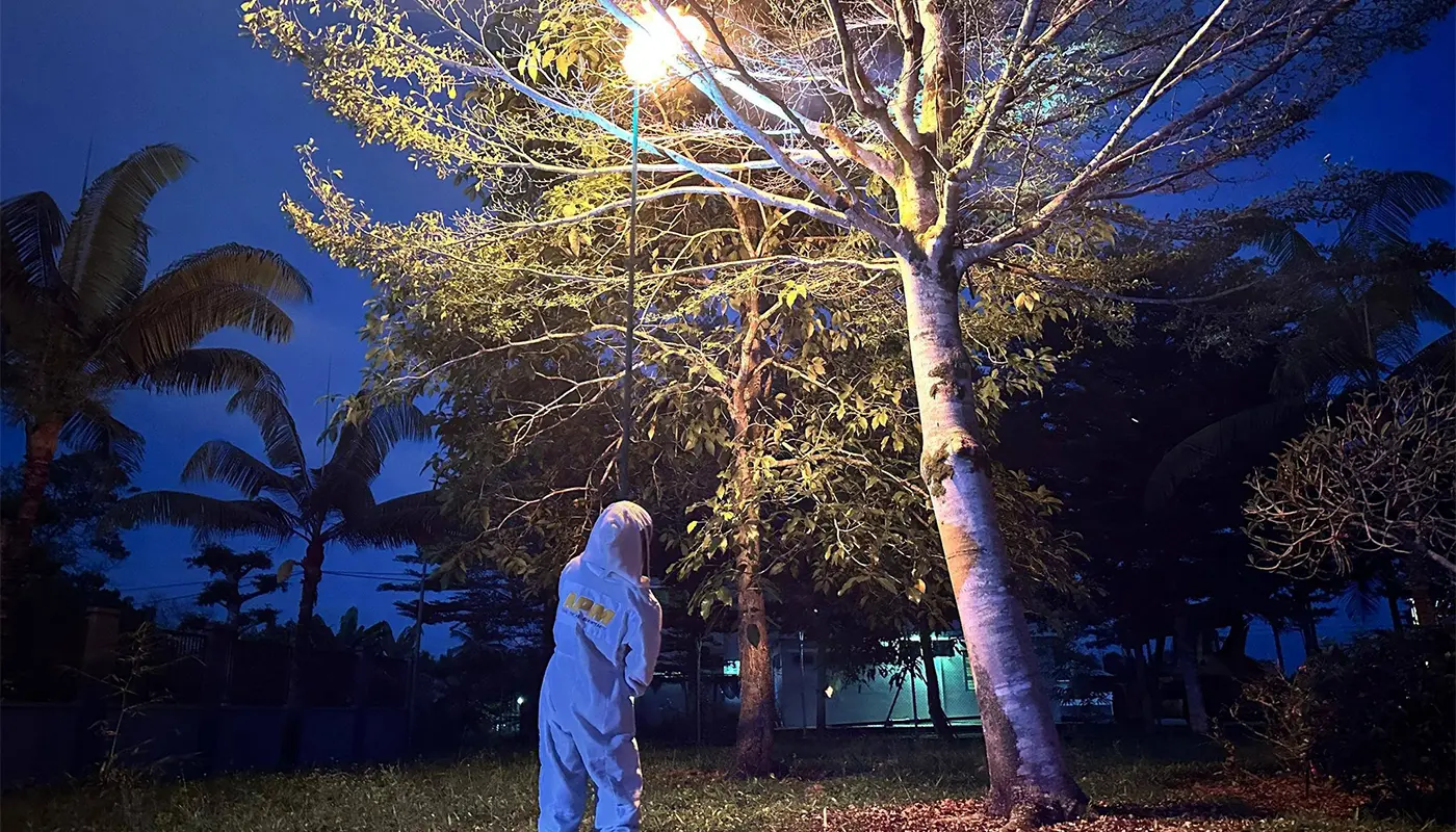 APM Tanjung Manis Safely Removed Beehive Near Integrated Port Area 1 Sarawak, Sarawak News, Tanjung Manis, Tanjung Manis News, Public Safety, APM Tanjung Manis, Emergency Response