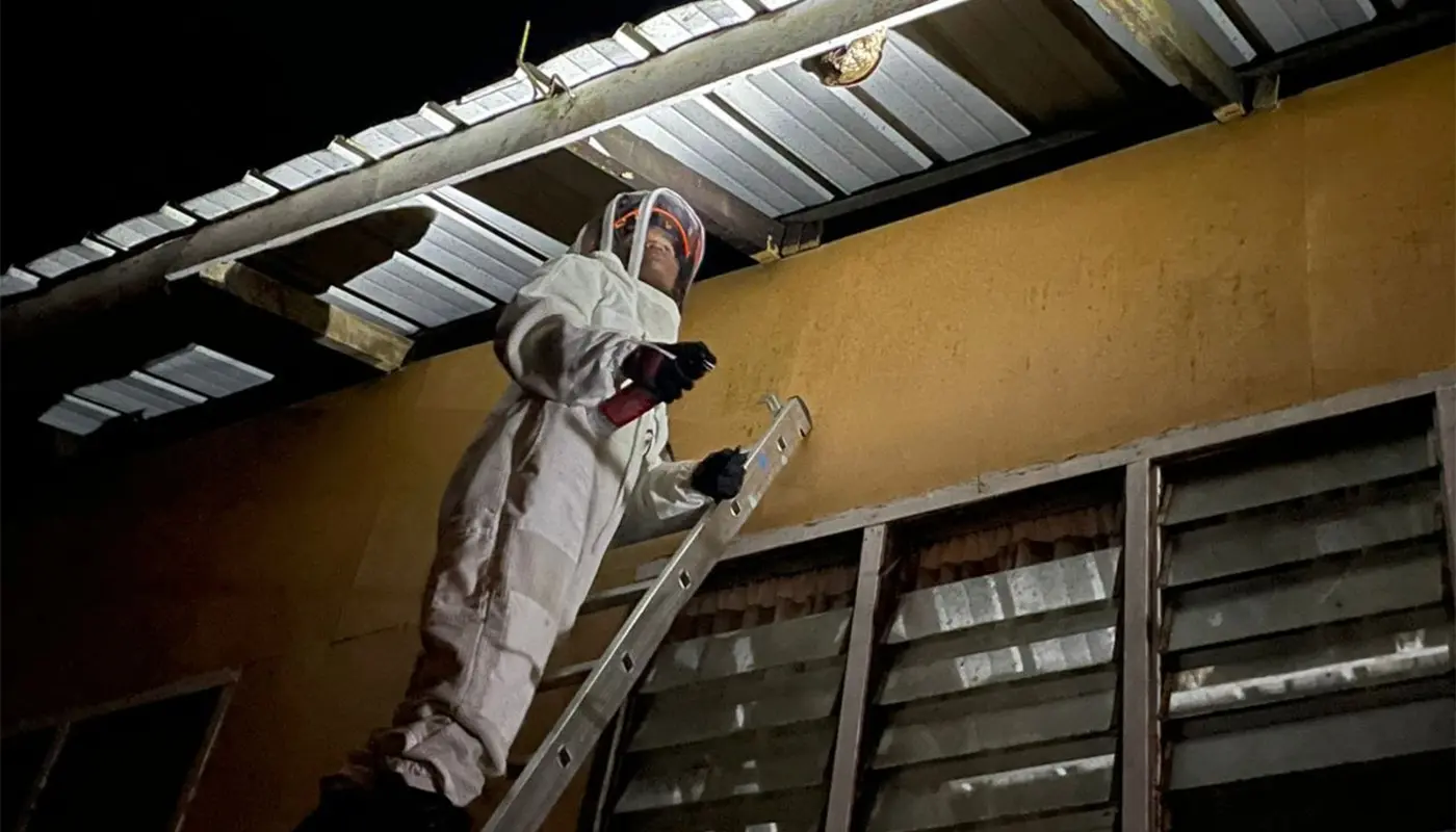 APM Tanjung Manis Team Removes Wasp Nest in Staff Housing 1 Sarawak, Sarawak News, Tanjung Manis, Tanjung Manis News, APM Tanjung Manis, Emergency Response, Public Safety, Wasp Nest,