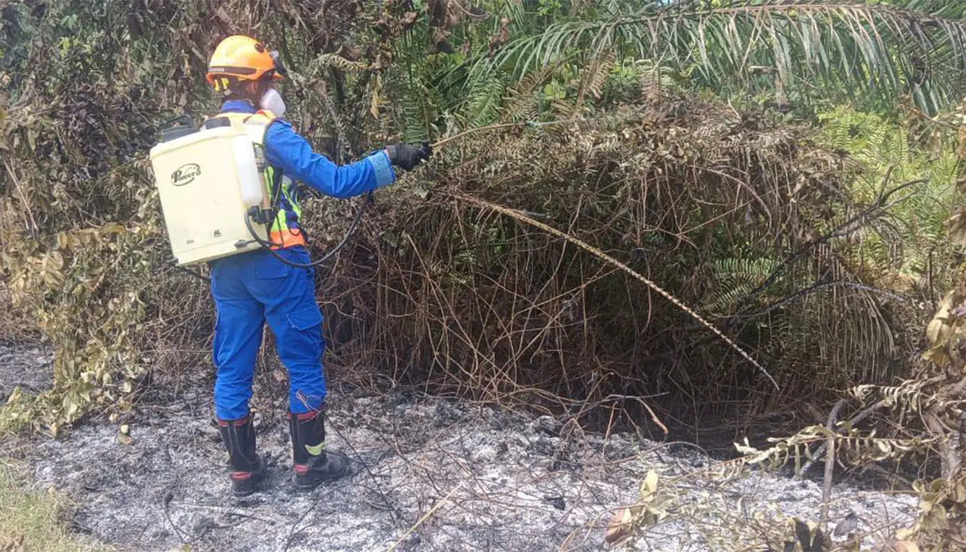 Bush Fire Contained Along Kuala Matu Roadside by APM Matu 1 Sarawak, Sarawak News, Emergency Response, APM Matu