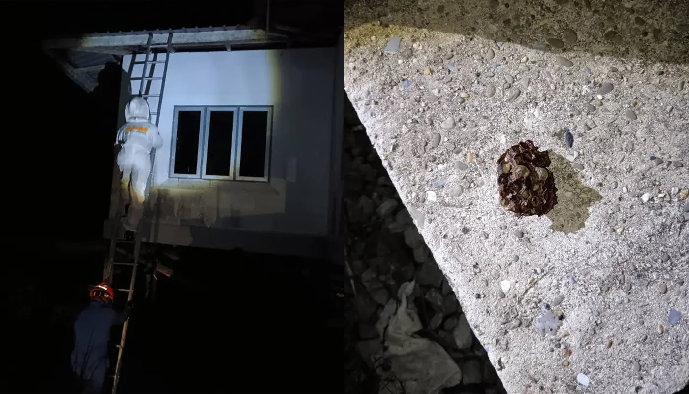 Civil Defence Force Clears Wasp Nest Safely in Matu 1 Sarawak, Sarawak News, Matu, Matu News, Civil Defence, Emergency Response, Public Safety, Wildlife Incident