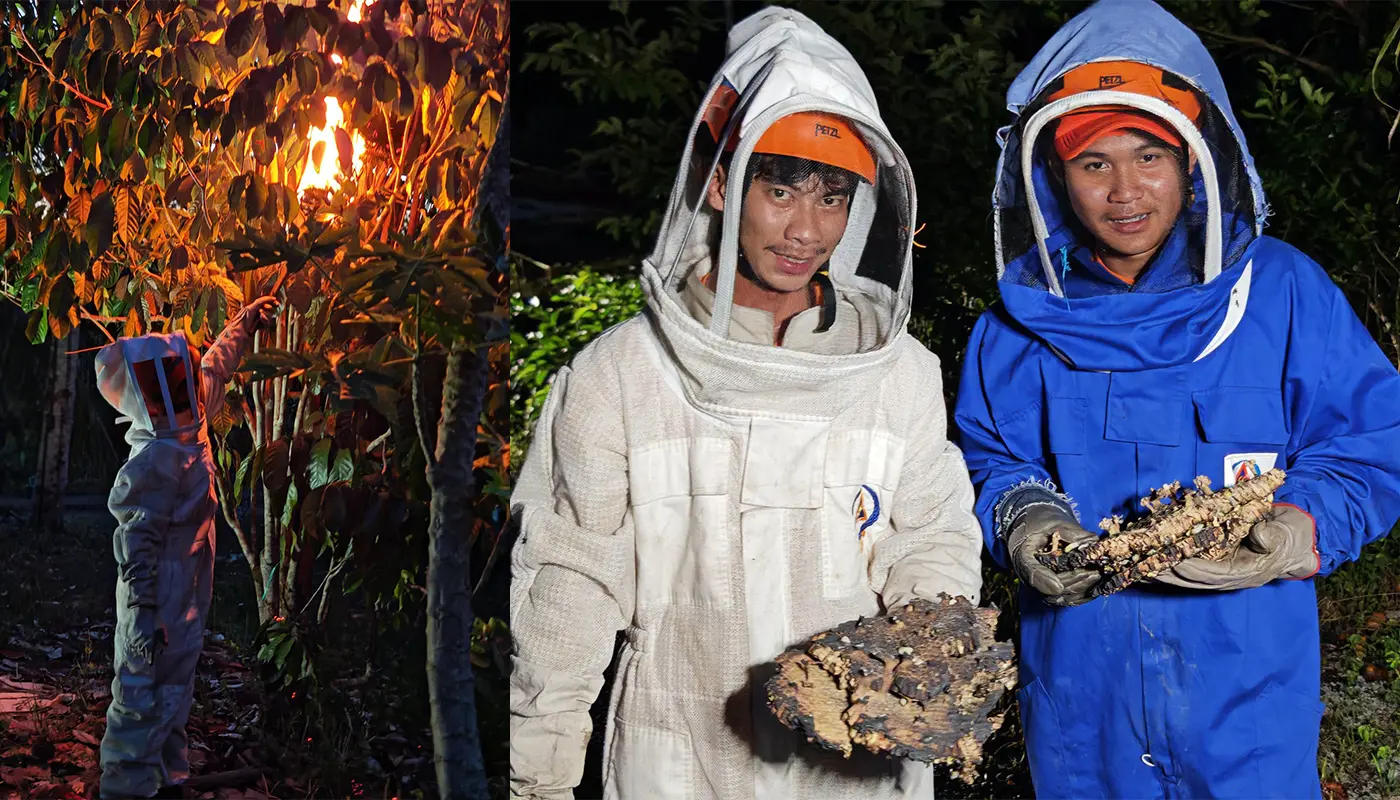 Civil Defence Force Destroyed Ground Wasp Nest in Bau 1 Sarawak, Sarawak News, Bau, Bau News, Public Safety, Civil Defence, Emergency Response