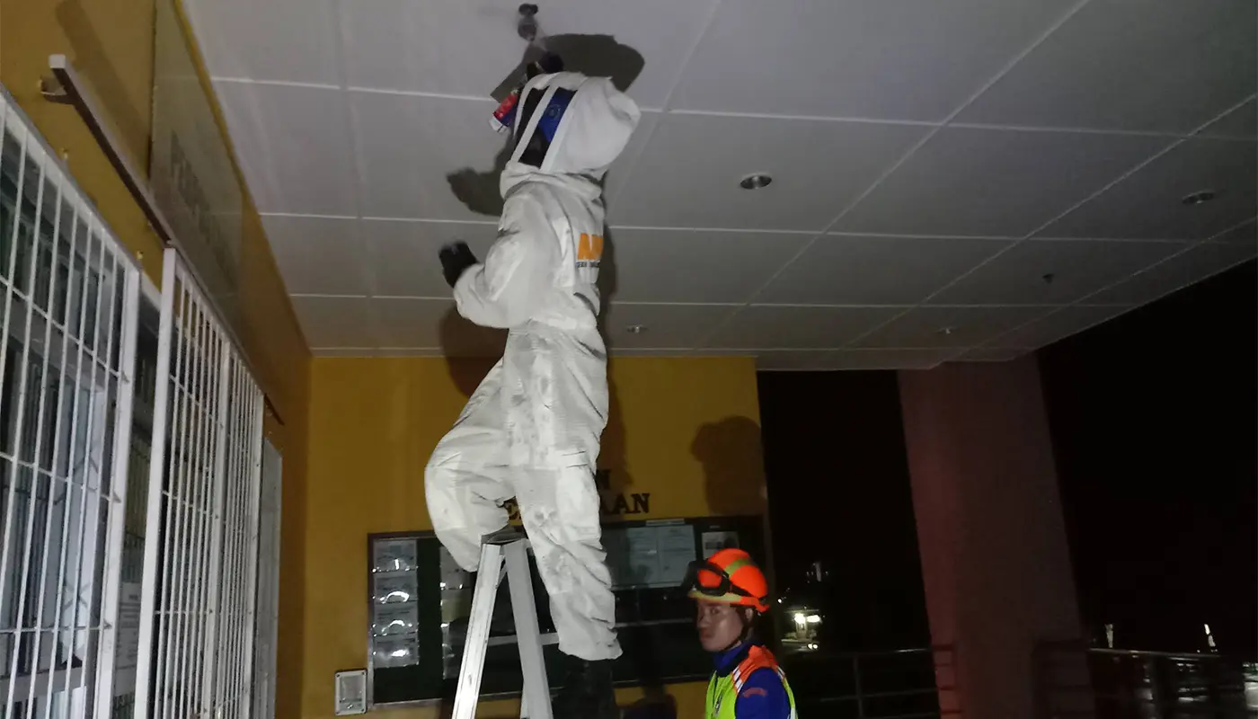 Civil Defence Force Mukah Safely Destroyed A Wasp Nest 1 Sarawak, Sarawak News, Mukah, Mukah News, Wildlife, Public Safety, Emergency Response, Insect Nest Removal