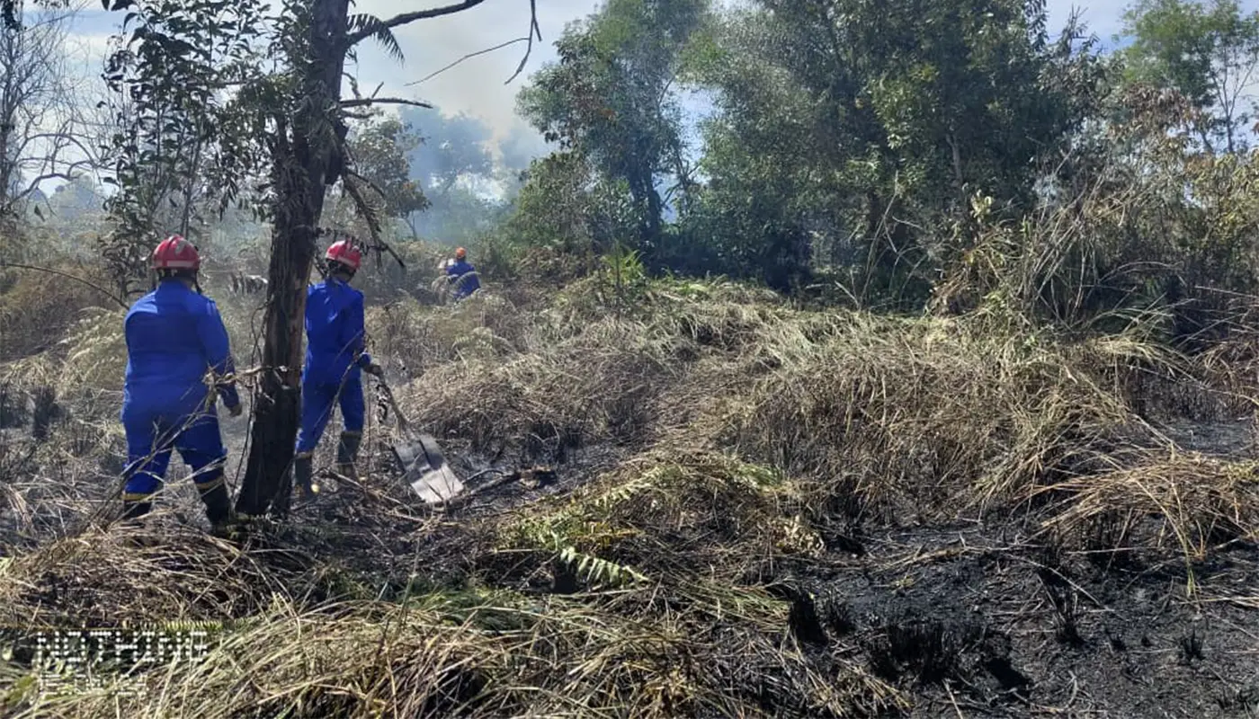 Sarawak, Sarawak News, Bintulu, Bintulu News, Fire Incident, Public Safety, Emergency Response, Forest Fire