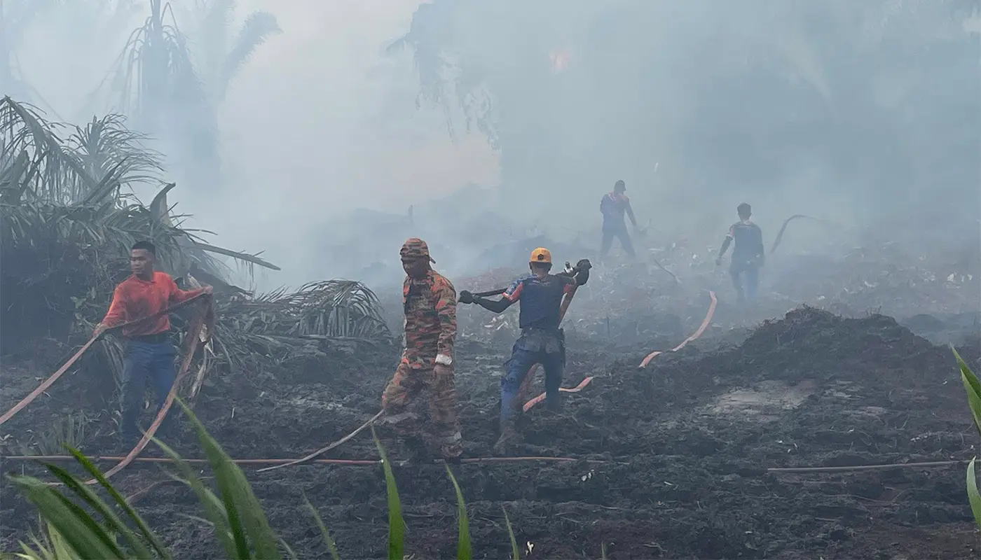 JBPM & APM Controlled Fire Along Matu-Igan Roadside 1 Sarawak, Sarawak News, Matu, Matu News, Fire Incident, Public Safety, Emergency Response, Traffic Control