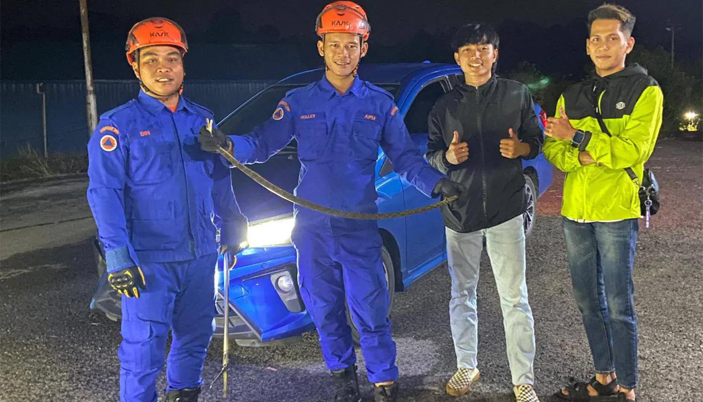 Large Python Captured in Residential Drain by APM Saratok 1 Sarawak, Sarawak News, Saratok, Saratok News, APM Saratok, Python Capture, Kampung Bunga Raya, Public Safety