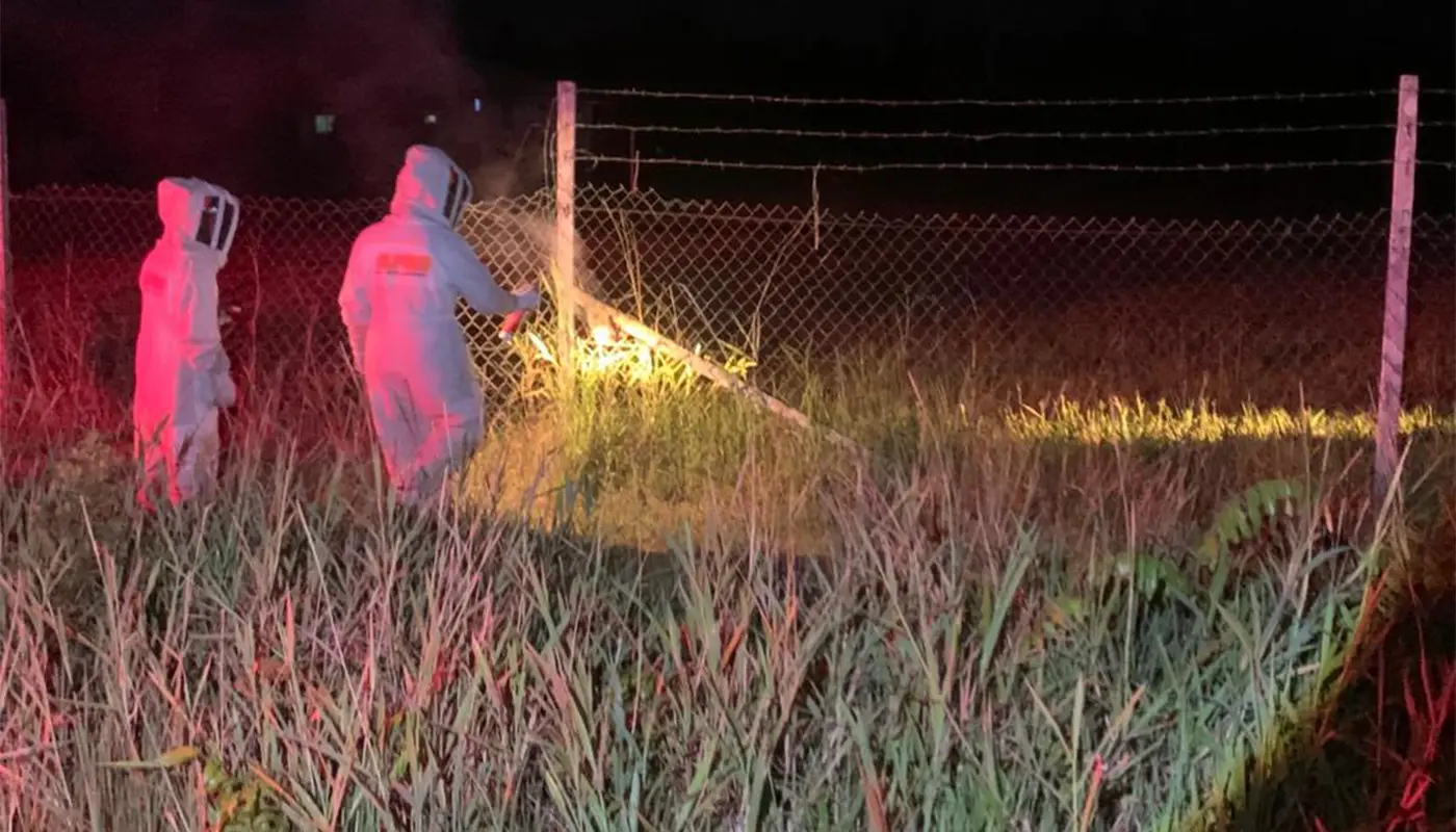 APM Matu Destroys Wasp Nest at SK Bawang Tian 1 Sarawak, Sarawak News, Matu, Matu News, APM Matu, Emergency Response, Public Safety, Wasp Nest, SK Bawang Tian