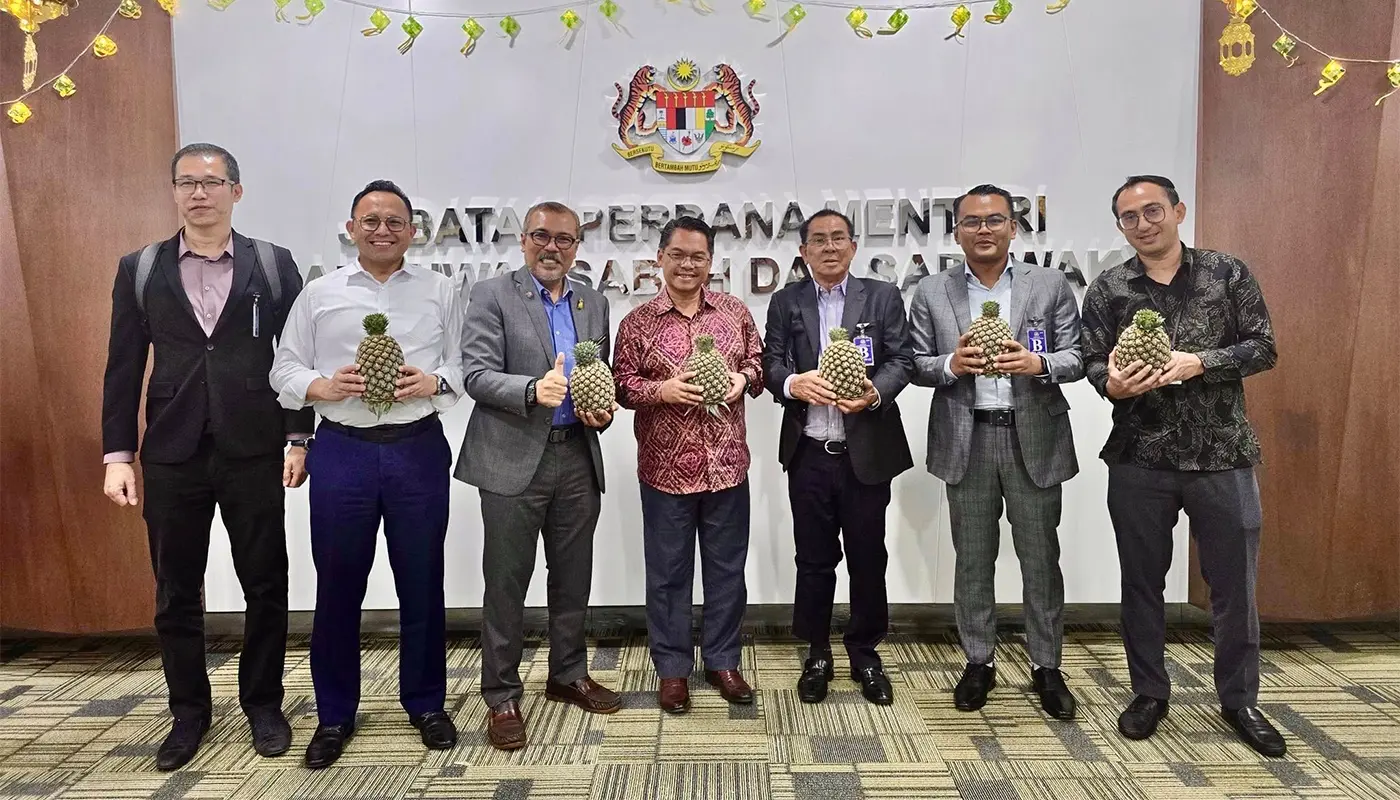 Minister Mustapha Sakmud Explores Pineapple Industry Growth for Sabah and Sarawak 1 Sarawak, Sarawak News, Sabah, Sabah News, Pineapple Industry, Agro-Food, Food Security, Agriculture, Supply Chain