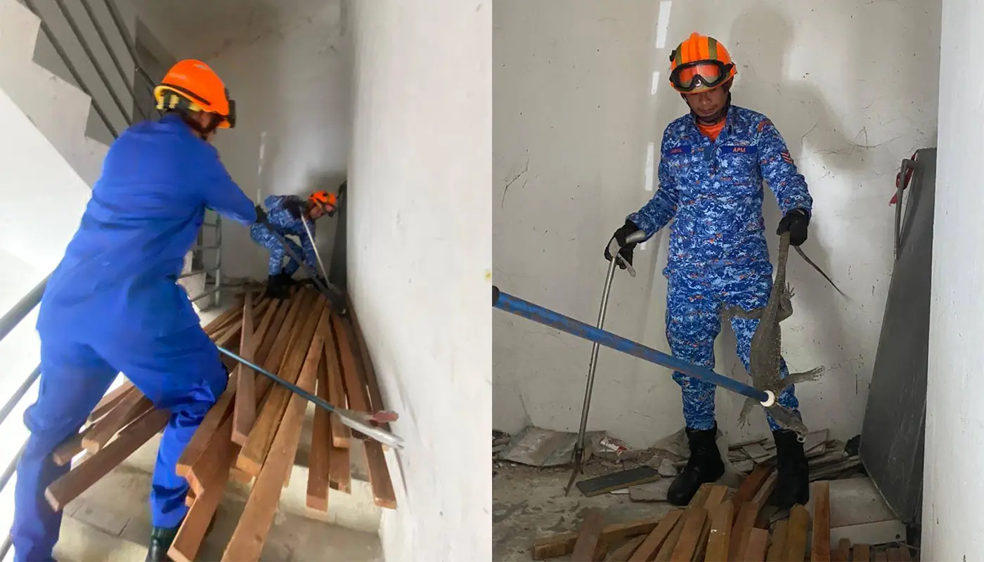Mukah Civil Defence Captures Lizard Safely Behind Refrigerator 1 Sarawak, Sarawak News, Mukah, Mukah News, Civil Defence, Emergency Response, Wildlife Capture, Public Safety