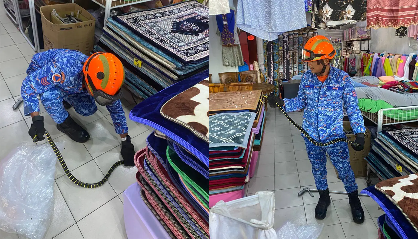 Mukah Civil Defence Force Captures Ring-Necked Snake Safely 1 Sarawak, Sarawak News, Mukah, Mukah News, Civil Defence, Emergency Response, Snake Capture, Public Safety